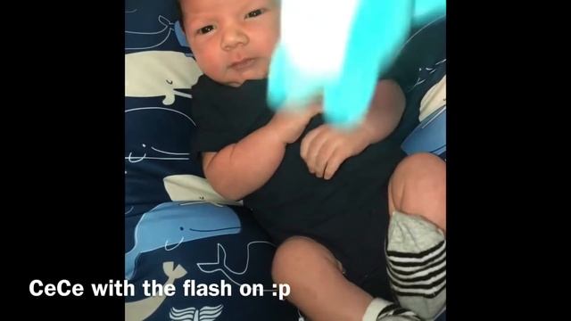 The Mini Muffin Has Arrived! 8/19/18