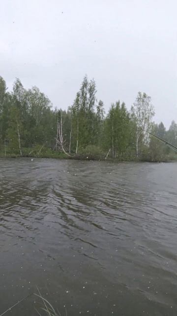 отчаянные рыбаки