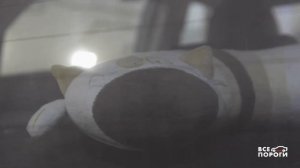 Процесс замены порогов Toyota Auris I. Все Пороги