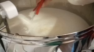 Сыроделие как бизнес-идея! Варим адыгейский №23