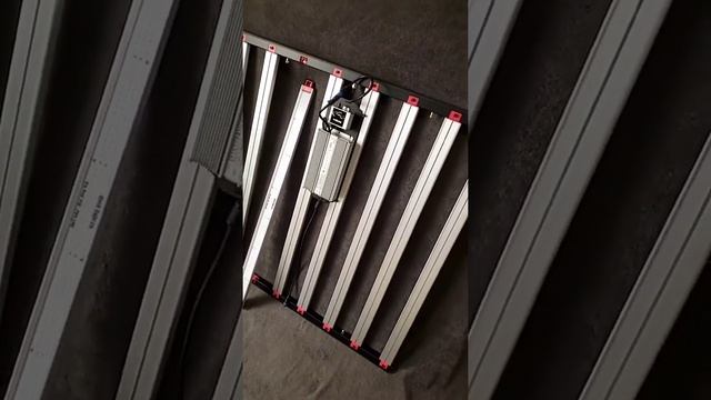 Dank Light Co Pro Line LED Grow lights - First Drop Models, Specs and Pricing смотреть онлайн