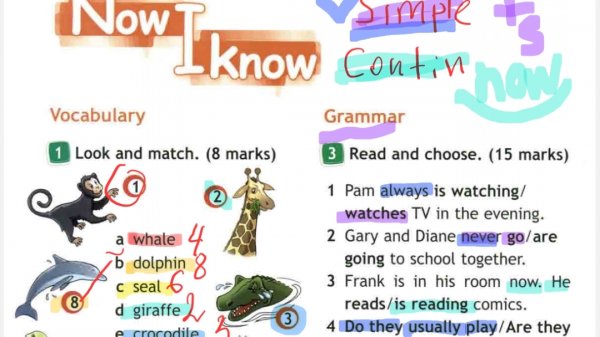 spotlight 4. модуль 4 стр 70. module 4 page 70. английский 4 класс. спотлайт 4. английский в фокусе