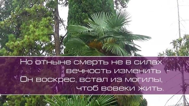 Лучший Друг смотреть онлайн