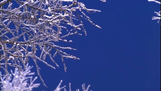 О, молитва смотреть онлайн