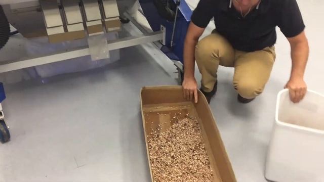 Satake EVOLUTION RGB+Shape Pinto Bean Sort (Shape and Color) смотреть онлайн