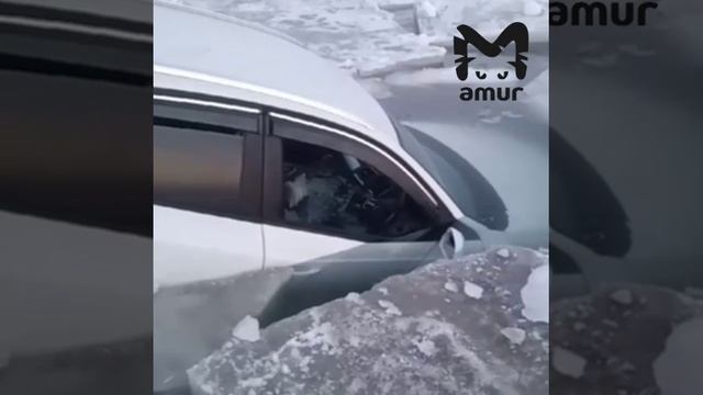 приморье ауди смотреть онлайн