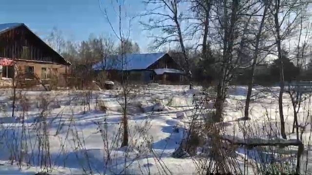 WhatsApp Video 2025-01-20 at 16.27.49 смотреть онлайн