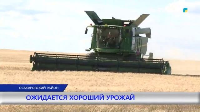 ОЖИДАЕТСЯ ХОРОШИЙ УРОЖАЙ смотреть онлайн