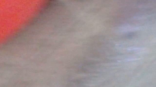 Дельфинарий нэмо смотреть онлайн