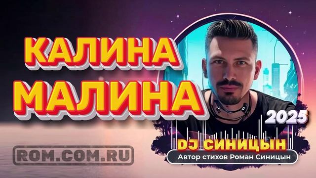 DJ СИНИЦЫН CLUB MIX 2025 - КАЛИНА МАЛИНА смотреть онлайн