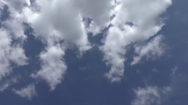 Голубятники , голубятники , ну куда же вы ... из архива. смотреть онлайн
