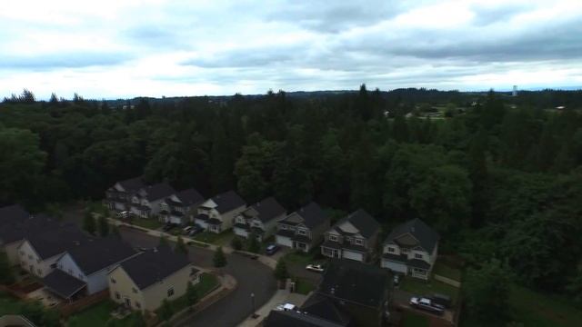DJI Phantom 3 Pro Quick hover & spin смотреть онлайн
