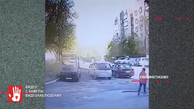 Бродячие псы покусали девочку в Чебаркуле смотреть онлайн