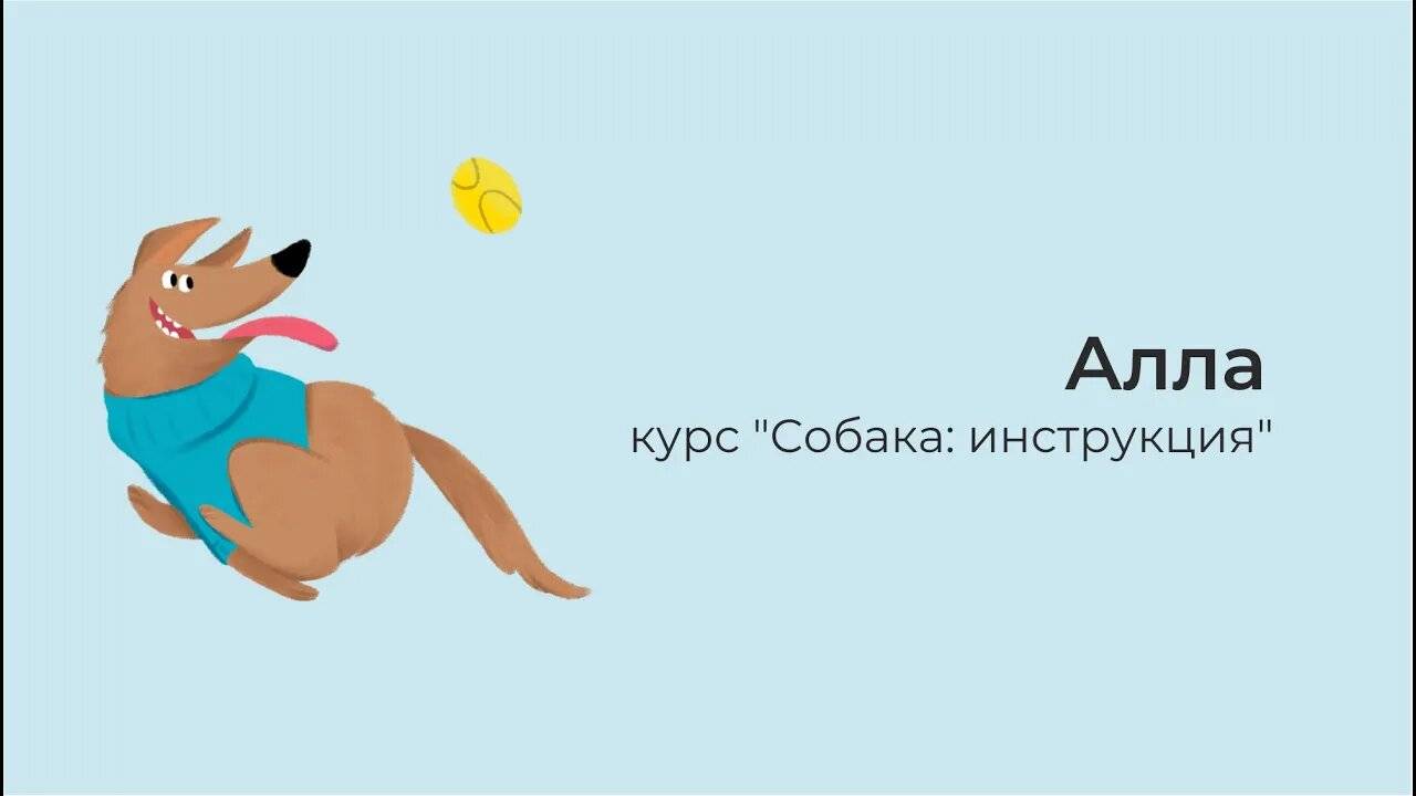 Видео отзыв, курс Собака инструкция по применению, 10 поток, Алла, смотреть онлайн