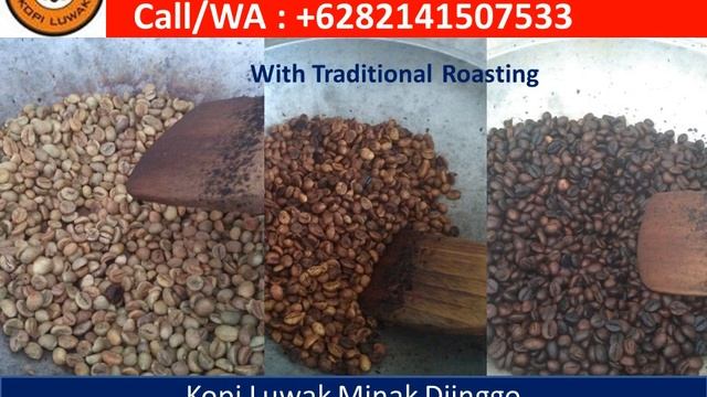 Kopi Luwak Asli; Call/WA : +6282141507533; Kopi luwak robusta; Kopi luwak liar смотреть онлайн