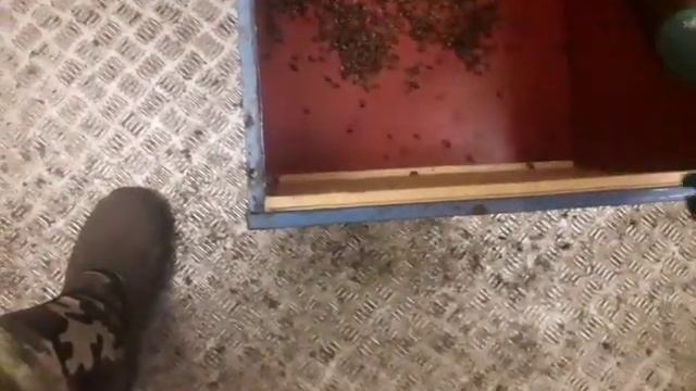 воздуходувка помощница смотреть онлайн