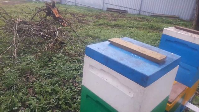 Миниплюсы полностью собраны в зиму смотреть онлайн