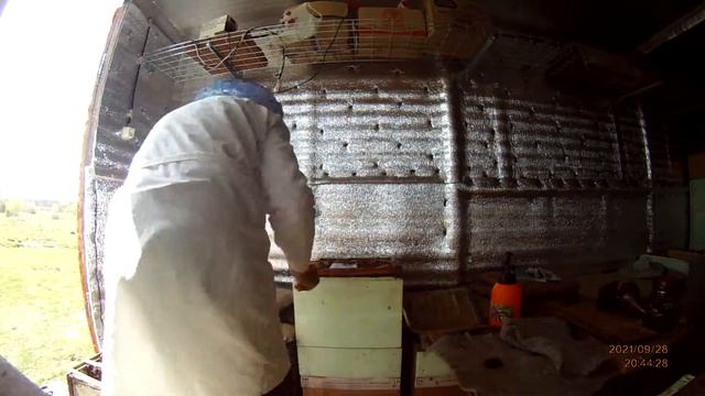 Вывод маток с помощью Дженерского сота 1мая 2017г смотреть онлайн