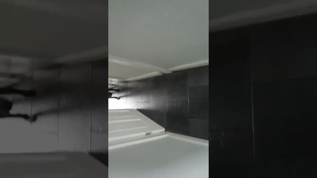 funny dog biting hover смотреть онлайн