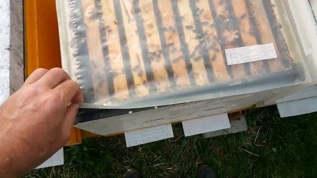 1 апреля тянут вощину смотреть онлайн