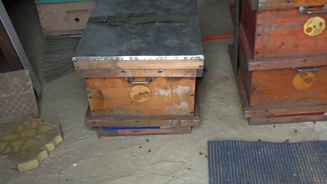 условия зимовки смотреть онлайн