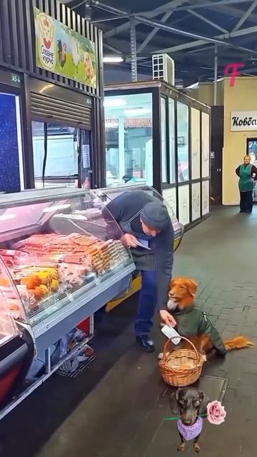 Это самое милое видео на сегодня 🥰🥰🥰 смотреть онлайн