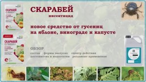 Скарабей - новое средство от гусениц на яблоне, винограде и капусте. Обзор смесевого инсектицида