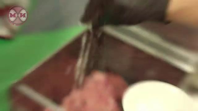 Фаршемешалка МПФ-30.В1