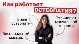 Как работает остеопатия? Виды остеопатии. Отличие от мануальной терапии. Висцеральный массаж