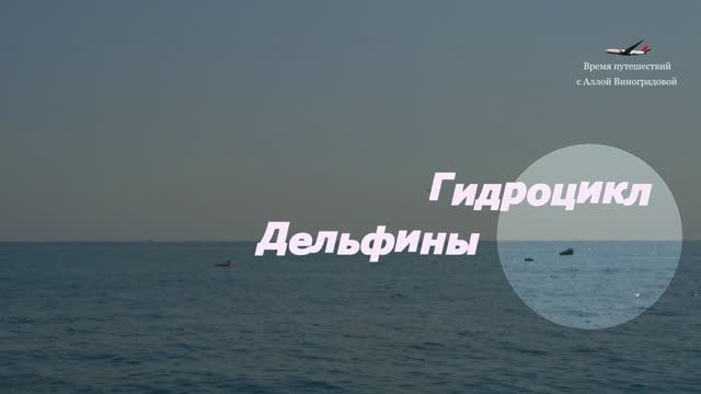 Догонялки / Гидроцикл и дельфины / Чёрное море смотреть онлайн