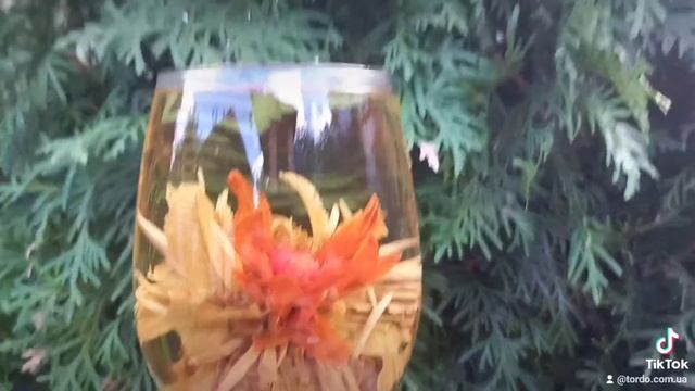 Звязаний чай Бэй Ци Шень з лілією та амарантом смотреть онлайн