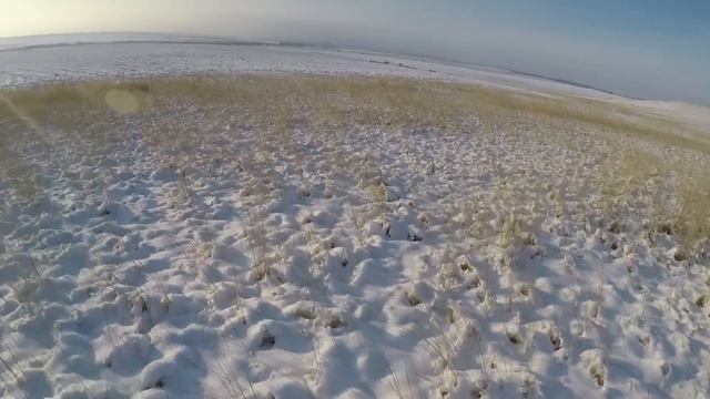 ОХОТА НА ЗАЙЦА. ПЕРВЫЙ СНЕГ. "ЗДОРОВЬЯ ЭТОМУ ЗАЙЦУ". смотреть онлайн