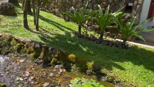 WELCOME TO KRABI, Thailand, The Tubkaak krabi Boutique Resort.끄라비, 태국. 방콕.