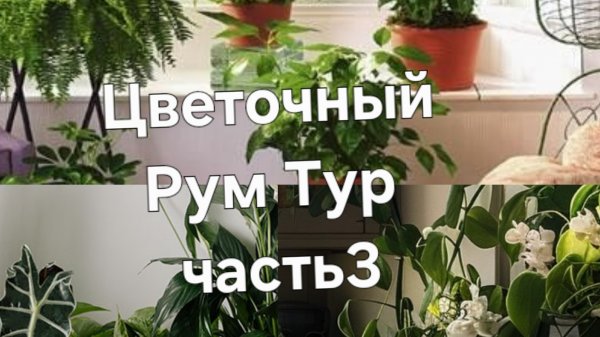 Цветочный Рум Тур ч3