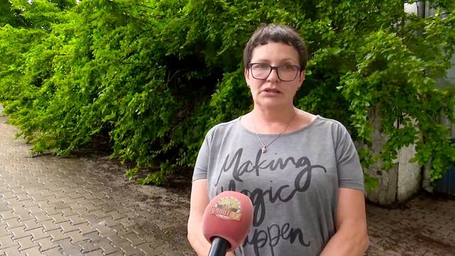 4ЛАПКИ_ШУША смотреть онлайн