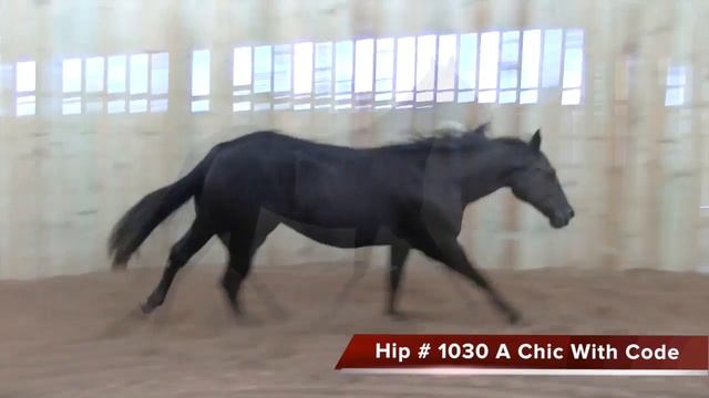 Hip # 1030 GH A Chic With Code смотреть онлайн