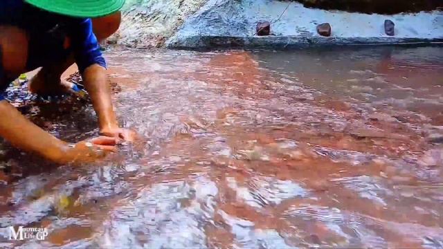 Going to fix the water where the waterfall is high to plow the field & catch interesting fish смотреть онлайн