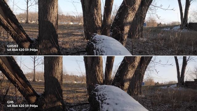 Panasonic GH5 vs GH5ii IBIS Comparison // Sample Shots смотреть онлайн