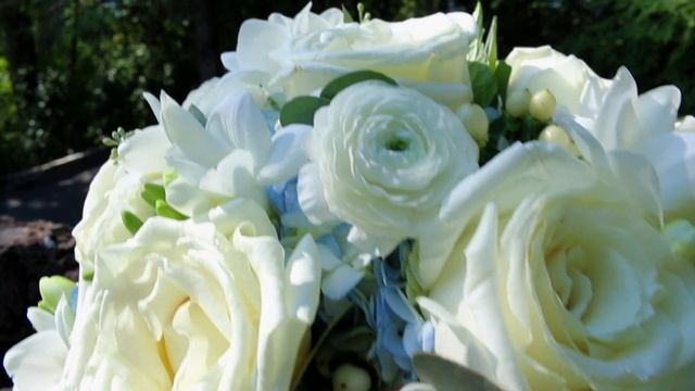 Colin Bird and Carole Mower Wedding Highlight Film - Sept. 12, 2016 смотреть онлайн