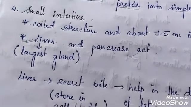 Class-VII Biology - Nutrition in animals 23 June 2020 смотреть онлайн
