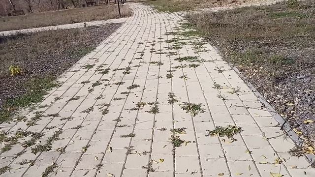 Ты променял меня на эту мерзавку — Жена влепила пощёчину мужу прямо на семейном ужине смотреть онлайн