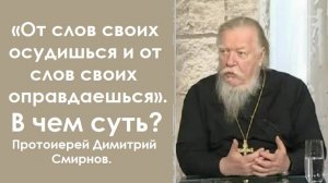 Не воспринимайте это буквально. Протоиерей Димитрий Смирнов. 2011.03.17.