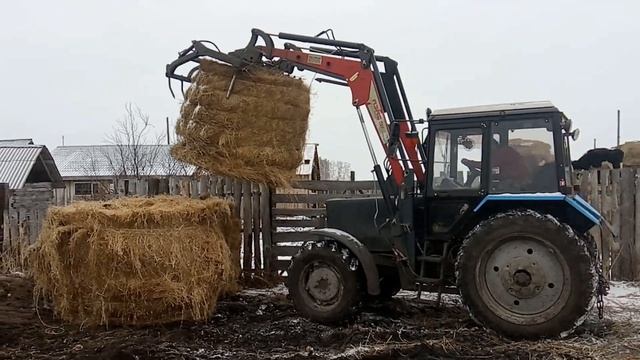 Укрыть зерно и построить сарай из соломы! №42 смотреть онлайн