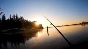 Обзор спиннинга Zetrix Hell Hound 802H