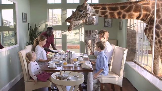 Giraffe Manor | Kenya | Expert Africa смотреть онлайн