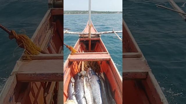 huli sa rapala 5 tanigui at isang barakoda смотреть онлайн