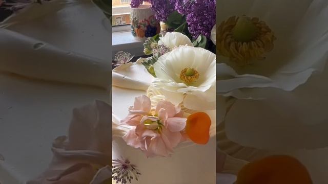 Торты + Истории #388 смотреть онлайн