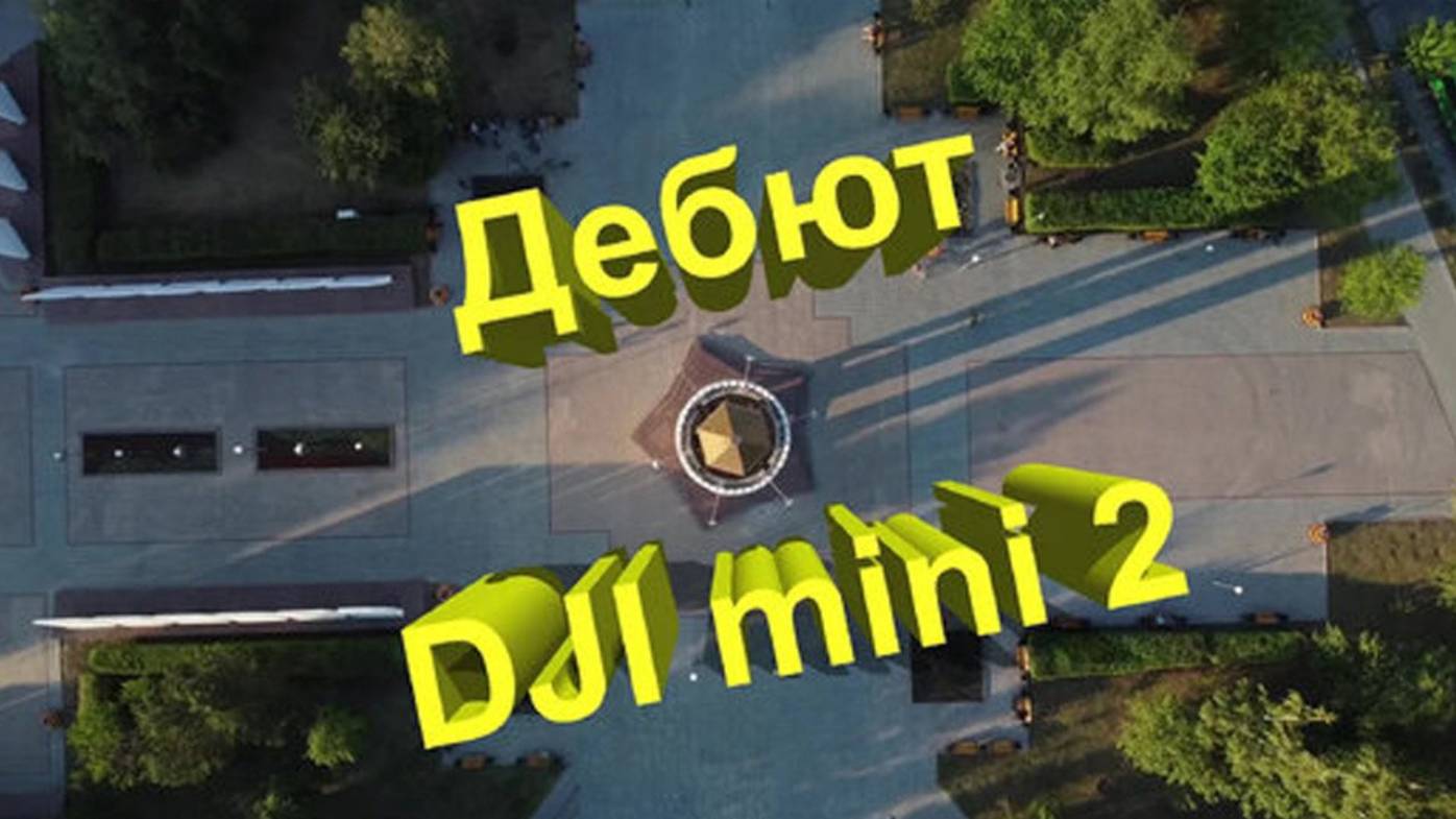 Дрон от индейца Миниту: Первый тест-драйв