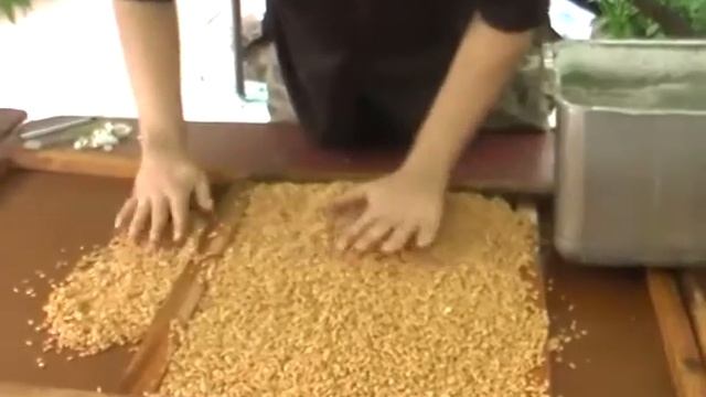 Делаю лечебный пшеничный #солод. #Витграс. Выращивание смотреть онлайн