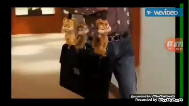Бурундуки под песню бон бон смотреть онлайн